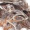 6 Packs: 3 ct. (18 total) Creativity Street® Natural Feathers, 1/2oz.